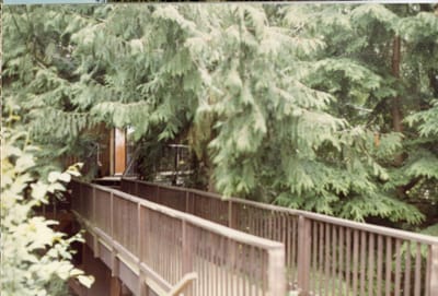 img127.jpg
