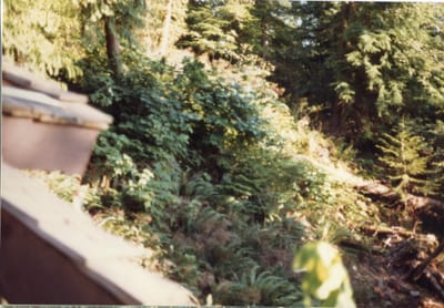 img130.jpg