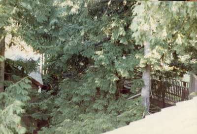 img131.jpg
