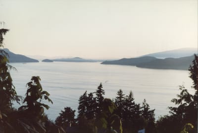 img132.jpg