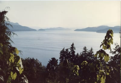 img133.jpg