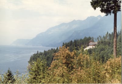 img141.jpg