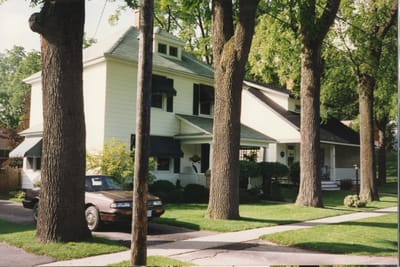 img042.jpg