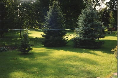 img062.jpg