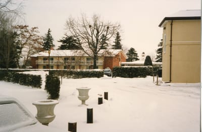 img113.jpg