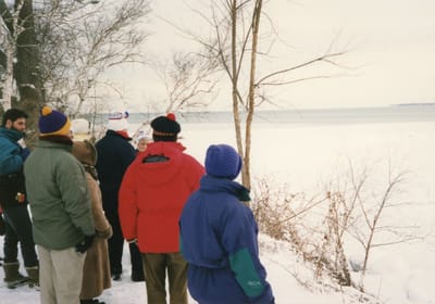 img115.jpg