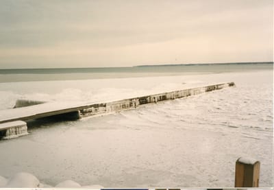 img116.jpg