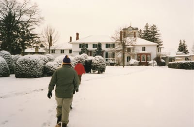 img117.jpg