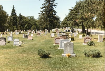 img150.jpg