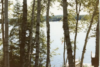 img154.jpg