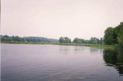 img272.jpg