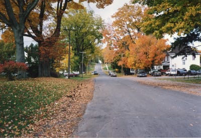 img292.jpg