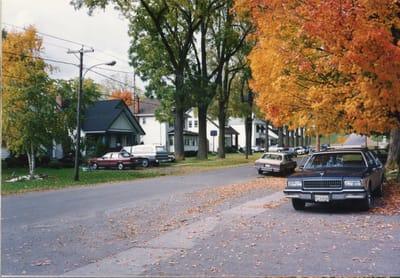 img293.jpg