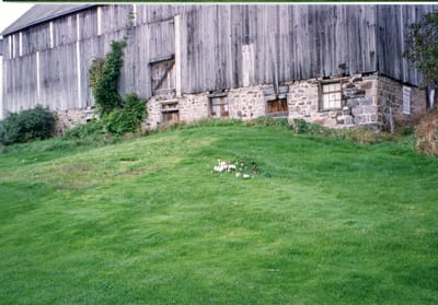 img090.jpg