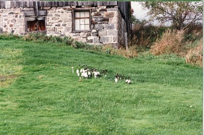img091.jpg