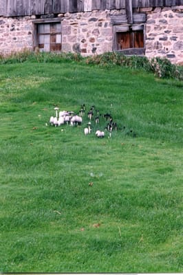 img092.jpg
