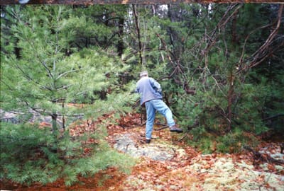 img165.jpg