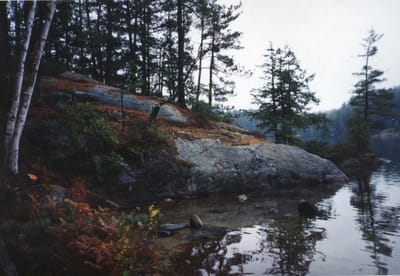 img176.jpg