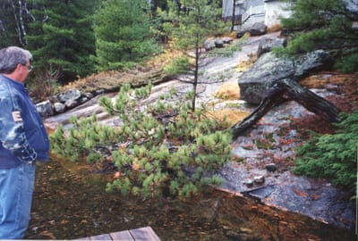 img178.jpg