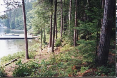 img194.jpg