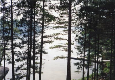 img195.jpg