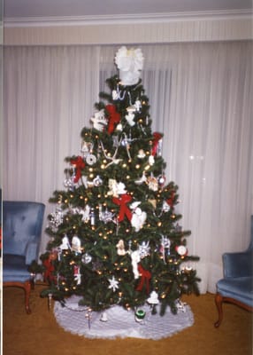 img215 Xmas 1994.jpg