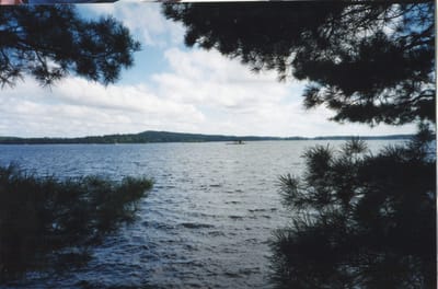 img051.jpg