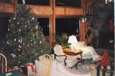 img100.jpg