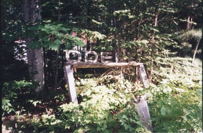 img137.jpg