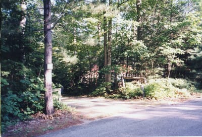 img138.jpg