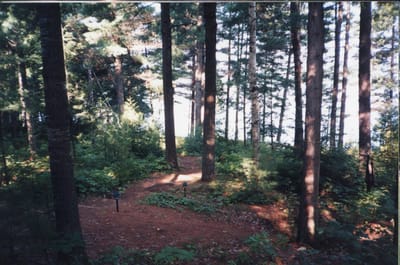 img140.jpg