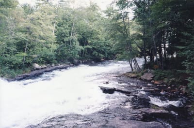 img145.jpg