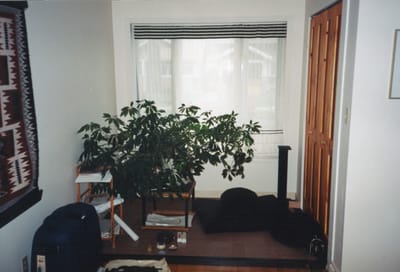 img066.jpg