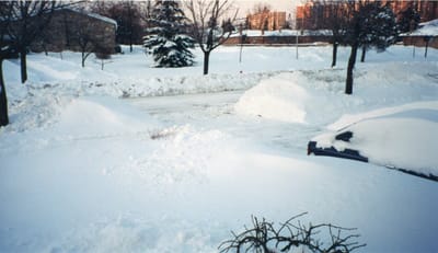 img017.jpg
