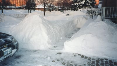 img019.jpg