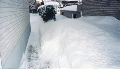 img020.jpg