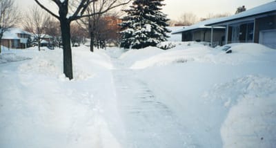 img021.jpg
