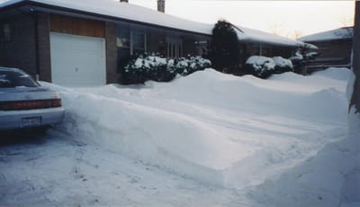 img023.jpg