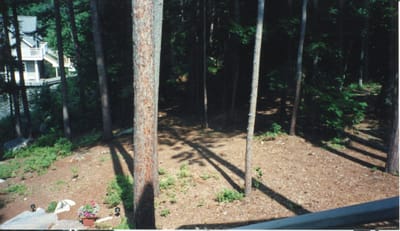 img086.jpg