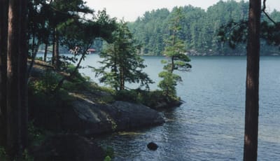 img087.jpg