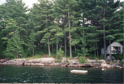 img117.jpg