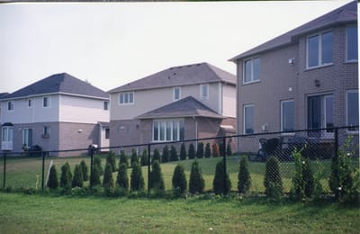 img204.jpg