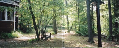 img096.jpg