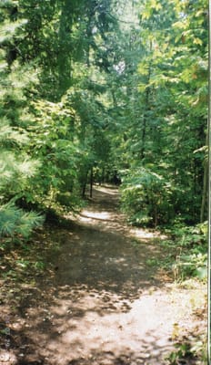 img097.jpg