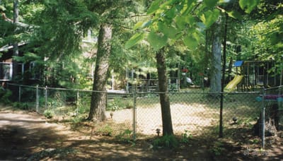 img098.jpg