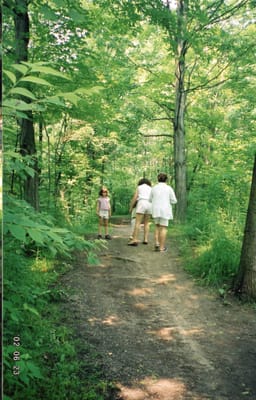 img026.jpg