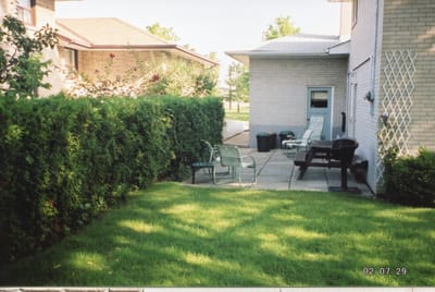 img108.jpg
