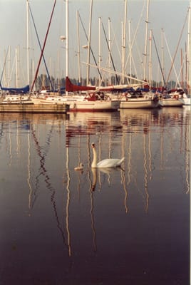img120.jpg