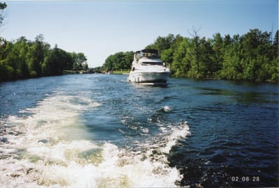 img157.jpg