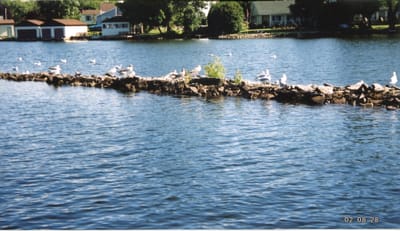 img158.jpg